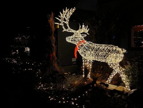 FB IMG 1766872549478