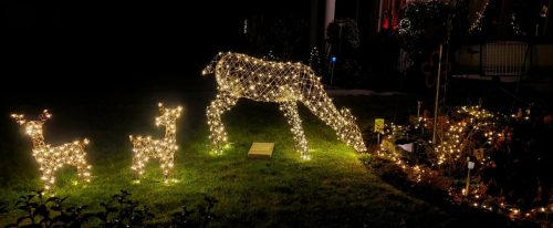 FB IMG 1766872552360