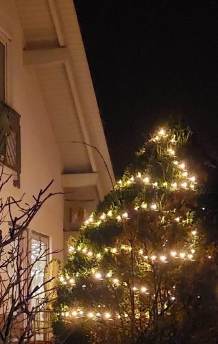 FB IMG 1766872705234