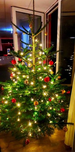 FB IMG 1766872865064