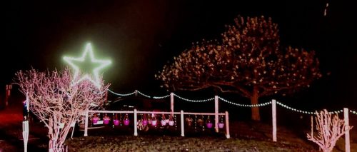 FB IMG 1766872879377