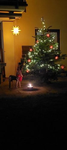 FB IMG 1766876681506